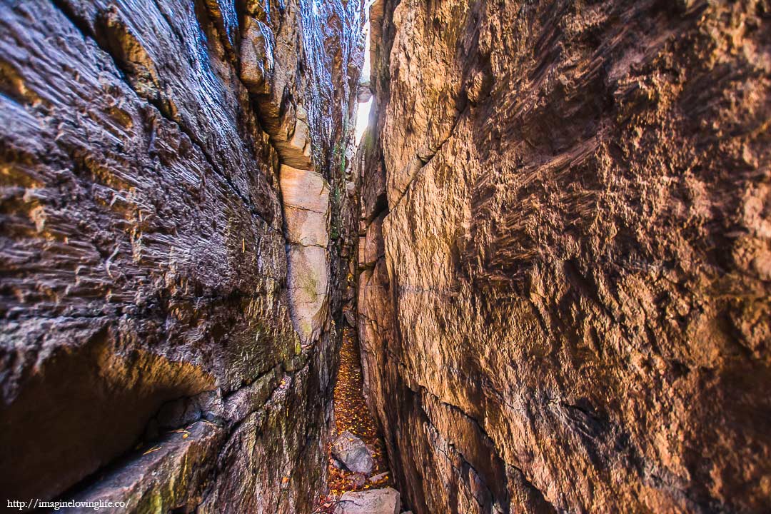 Mohonk Lemon Squeeze